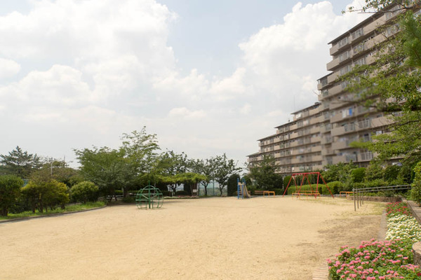 公園-19072520