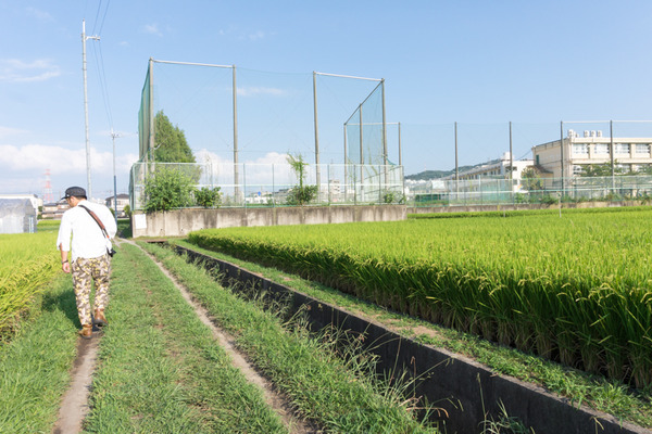 津田北町-16090942