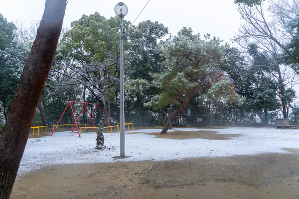 雪-2101124
