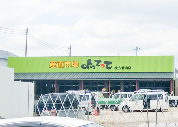 コスモス1-2005211