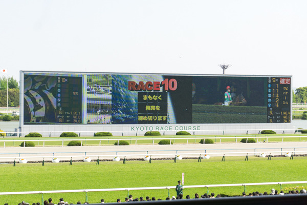 競馬-52