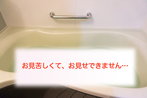 ふろマイクロバブル-24