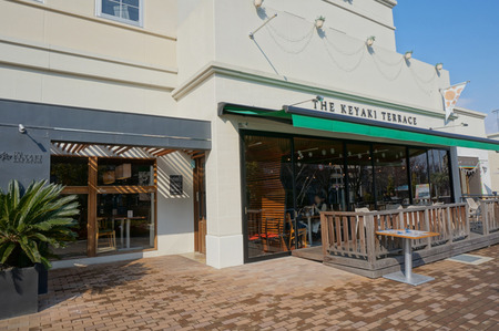 ケヤキテラス140121-3