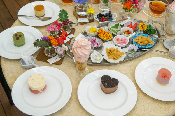 ケーキ2-2008071-2