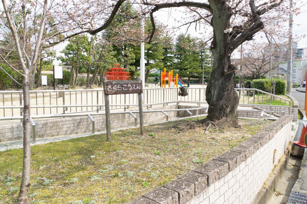 公園-1903282