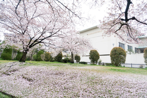 nagao-kouen-15