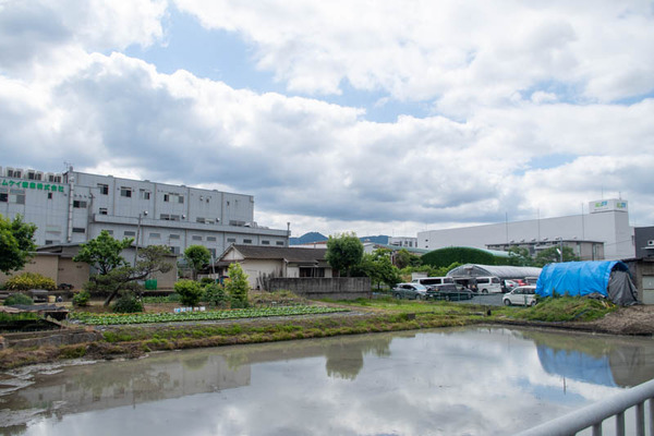 春日元町-2005212