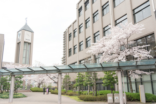 20150403歯科大桜-3