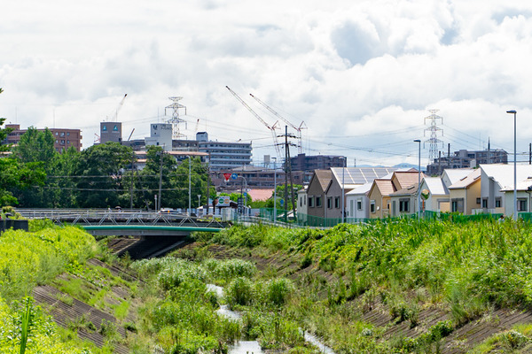 写真2-2007161