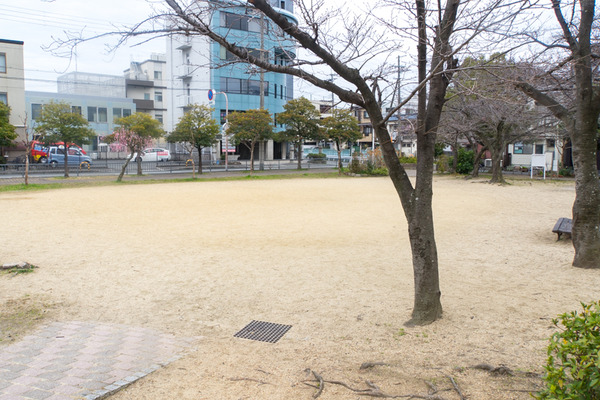 あんご公園-20022515