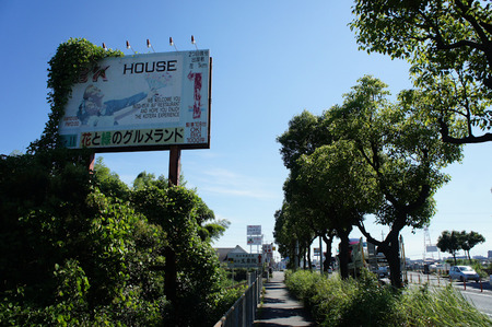 20110826DSC03562