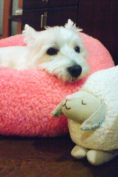 Jill②