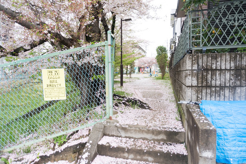 nagao-kouen-23