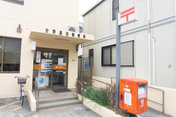 星田6丁目標準なーが小-34
