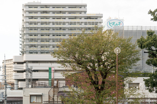 ビオルネ-1412114