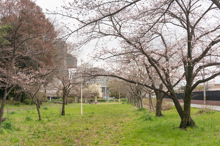 車塚公園-9