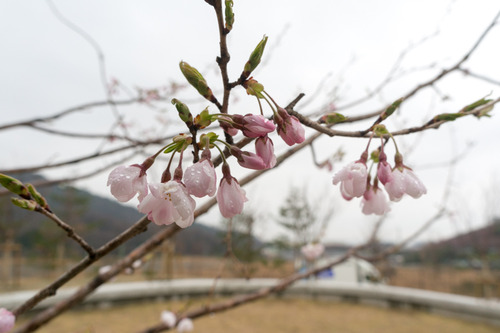 東部公園-15032904