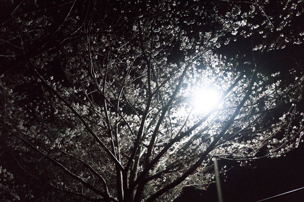 天野川-1904044