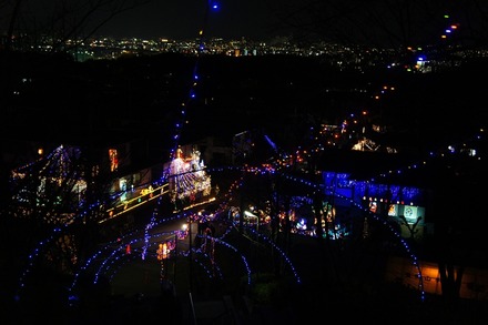 20101216DSC02097