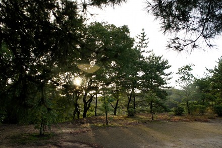 20101101DSC07551