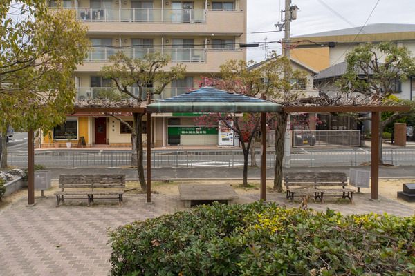 あんご公園-20022513