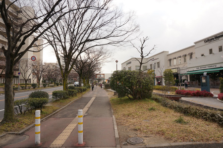ケヤキテラス140121-9