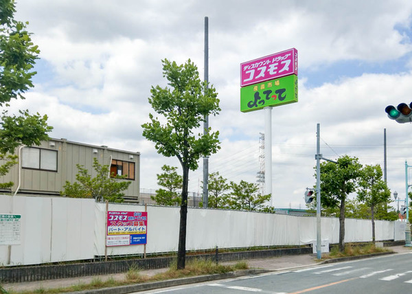 コスモス-2005212