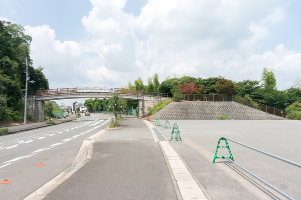 20170801いちばん地鶏-5