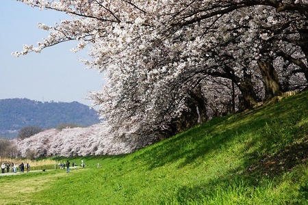 resize1097