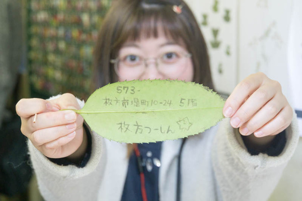 摂南大学-18111745