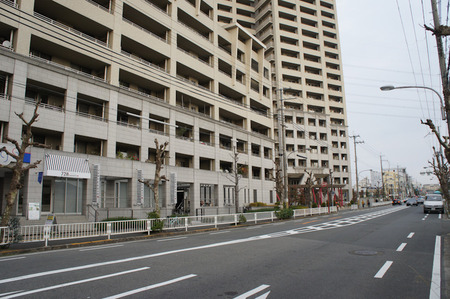 111130DSC00537