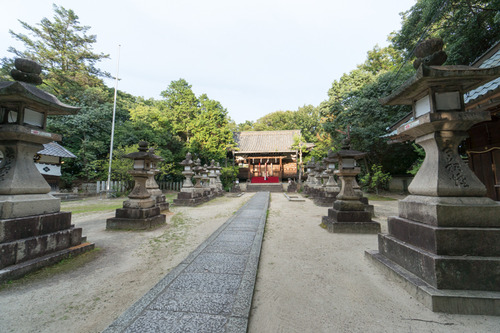 洛和HL800-277