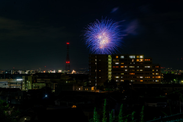 花火2-2008304