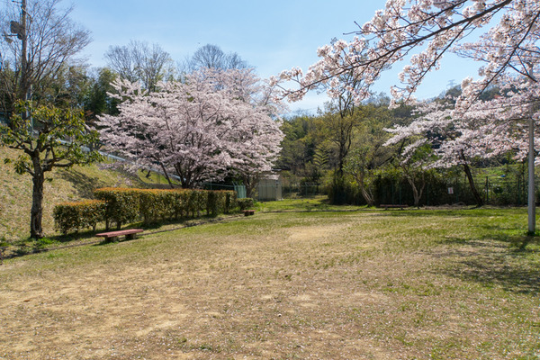 武生田公園-2004078