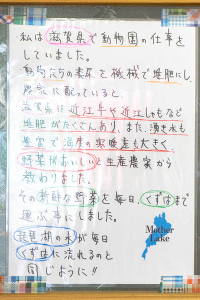 やさい-1906121-3