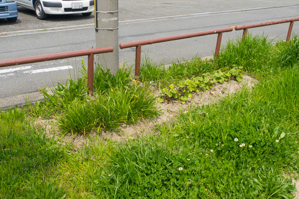 甲斐田公園-2004174