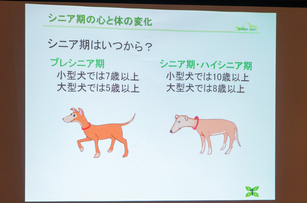 GREENDOG-17