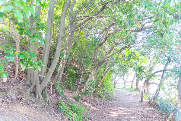 御殿山公園-2004174