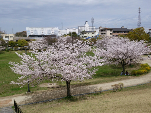 フォト1