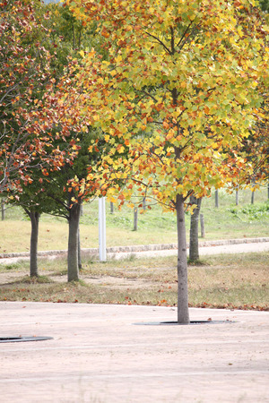 121029山田池公園02