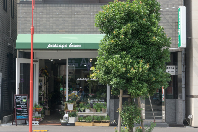 南楠葉に パッサージュハナ って花屋さんができてる Fabricaがあったところ 枚方つーしん