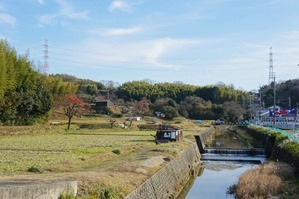 杉責谷