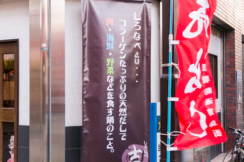 しろなべ吉-1412137