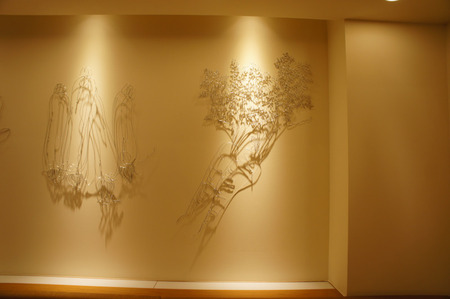 111218DSC01667
