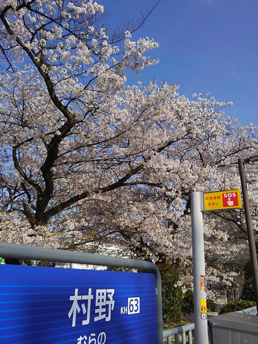 フォト