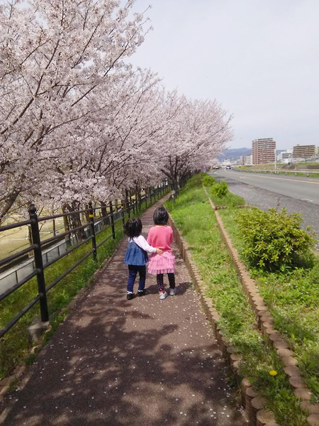 桜1