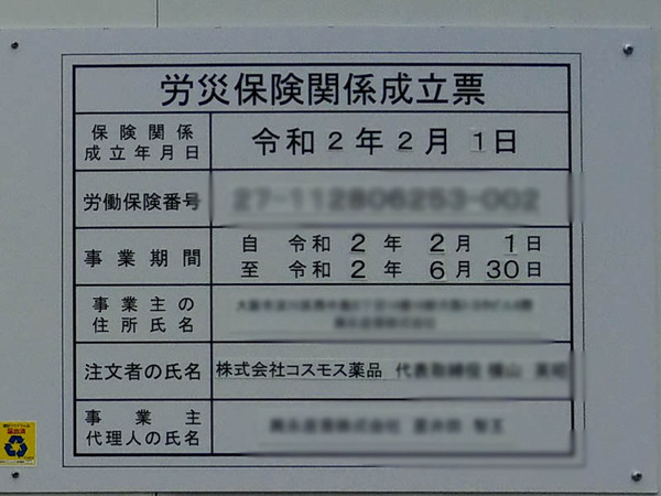 コスモス-2005218