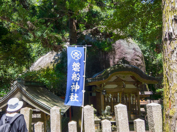 道-1807301-5