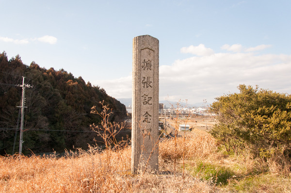 長尾-63