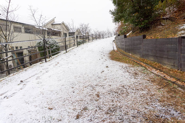 雪2101126